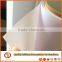 hot sale 260g roll up printing material