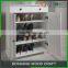 Vintage Home Furniture in Wooden Shoe Rack