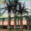 outdoor palm plants decorative artificial date plam tree fake tree