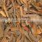 Split, powder, tube, broken Cassia/ Cinnamon Vietnam for EU market