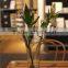 Newest Selling High Quality Home Decoration Different Types of Glass Vases