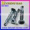 Taiwan Fastener Customized CSK Screw