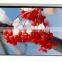 Electric Projector Screen/Motorised Projection Screen with Remote Control