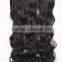 F6651 different types of curly weave hair,wholesale hair weave distributors