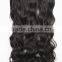 F6661 adorable hair weave,caribbean hair weave,best selling hair weave