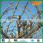 concertina razor barbed wire/ razor wire (factory)