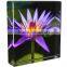 hot sale competitive price acrylic picture frame