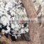 Nature Trunk White cherry blossom led tree