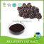 High Quality Mulberry Extract/Mulberry Extract Powder/ Morus Alba L. Powder
