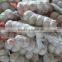 cheap chinese garlic