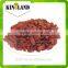 China High Quality AAA Sultana Raisin With Best Price and High Quality