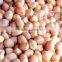 INDIAN BEST RATE PINK JAVA PEANUT KERNEL 80/90
