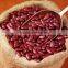 China Origin Good Quality Red Kidney Beans