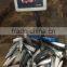 Frozen HGT Pacific mackerel