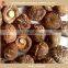 dried shiitake mushroom