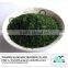 Food Grade Ulva Lactuca seaweed