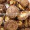 Dried smoth shiitake mushroom