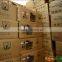 This is the best feed which can promote the normal growth and development of theanimal against the disease