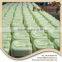 Hot Selling Perferct Combination Fertil Supplement organic compost fertilizer