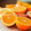 Electric Orange Juice Squeezer / Orange Squeezing Machine/Orange Juice Extractor Machine for Sale
