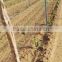 re-usable high strength plastic vineyard post