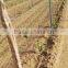 re-usable high strength plastic vineyard post