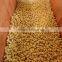 Made in China Big capacity pet food production line/dog food pellet making machine