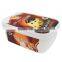 IML Rectangular Disposable Plastic Food Containers with Lids, IML Ice Cream Packaging Design