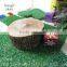 decorative natural tree wood trunk