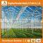 Heracles trade assurance greenhouse equipment- venlo type glass panels greenhouse for sale