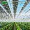 2019 New Automated Solar Energy Greenhouse For Sale