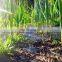 Weed barrier fabric agricultural plastic ground cover