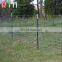 Hot dipped galvanized hinge joint wire mesh farm field fence for cattle sheep