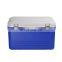 Custom Plastic Insulated Cold 33L Ice Cream Cooler Box For Outdoor Picnic