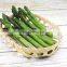 Sinocharm BRC A approved Freezing Asparagus Whole Frozen Asparagus