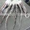 frozen giant squid tentacles giant squid tentacle