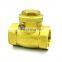 Spring Check Valve 1 Inch for Hydraulic Systems Non-Return In-Line Valve