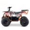 Electric ATV Cheap For Sale Off road 1.2KW 48V With Brushless Motor Differential Shaft Drive , ATV Bike Four wheeler