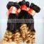 Supply all kinds of FUMI HAIR 100% peruvian deep curly hair