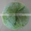 Fresh Green cabbage / Chinese Cabbage New Corp Cabbage Hot Sale