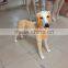 Fashion FRP lifelike animal dog mannequin