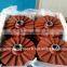 2016 Good Quality Slurry Pump And Rubber Parts Impeller