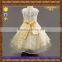 puffy birthday party beautiful princess dress for little girl