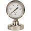 Diaphragm Pressure Gauge Pressure Gauge With Best Price Ningbo Made Shockproof