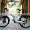Flyer,Surprise price!Hot seller china electric bicycle with cargo carrier