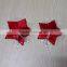 seductive female custom nipple pasties