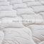 new products queen size roll up cotton sponge mattressE10029