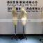 Half body head tailoring male mannequins for sale
