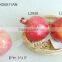Real color artificial foam pomegranate fruits in assorted size and shapes for display decoration