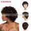 light brown Afro Short Curly Synthetic Wig, Short Hair Wig, Rainbow Wig                        
                                                Quality Choice
